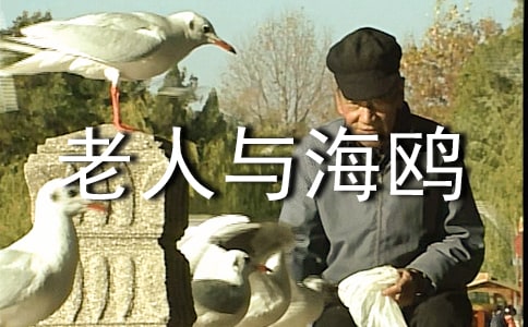 �������뺣Ÿ�������