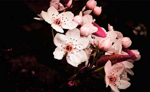 �����滨���ۺ��