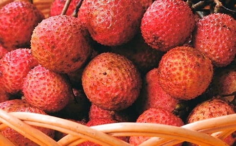 ����֦ͼ�򡷽�ѧ���