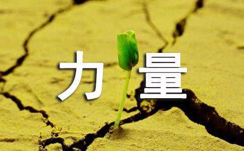 ���ţ���������������