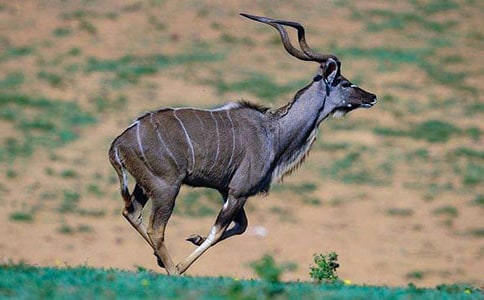 ��������Ĺ�ݡ������