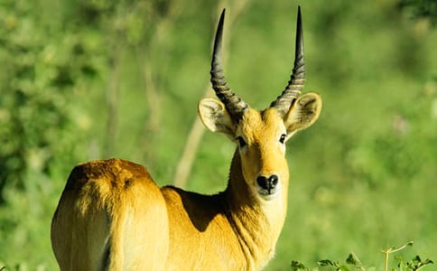 ����ľ������3ƪ(�ϼ�)