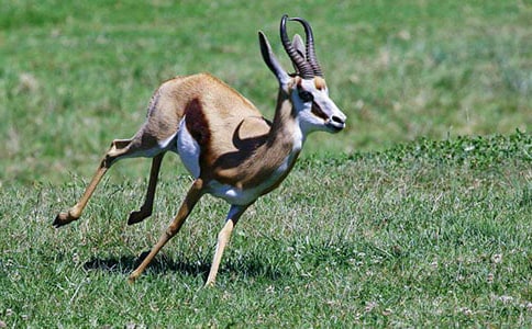 ���������ݡ������15ƪ