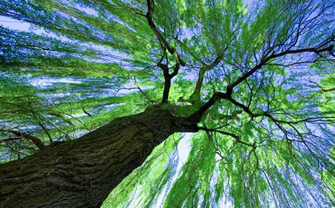 ��С������С����������̰����Ļ��6ƪ