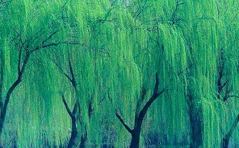 ��С������С��������ѧ��˼