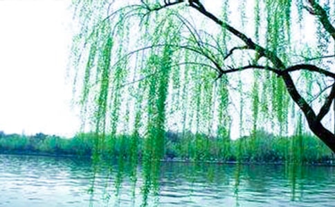 ����������̰�