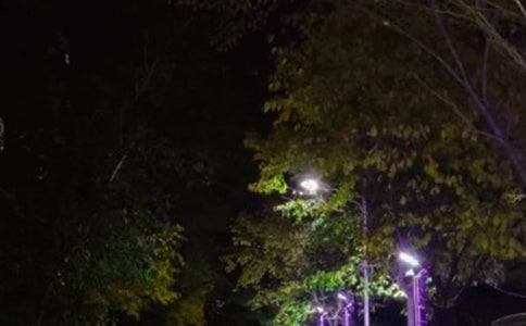 路灯购买合同范本