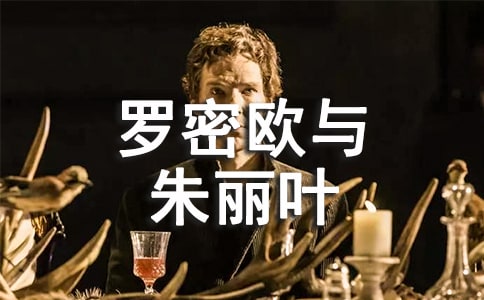 ����ŷ������Ҷ�����15ƪ