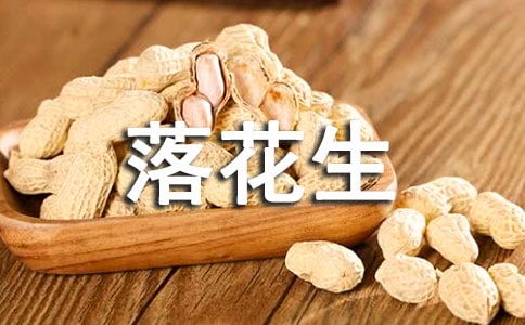 落花生名师教案范文全文