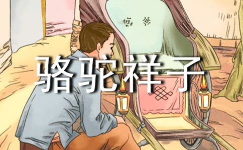 ���������ӡ�����С�����