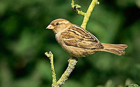 ��ȸ�����15ƪ