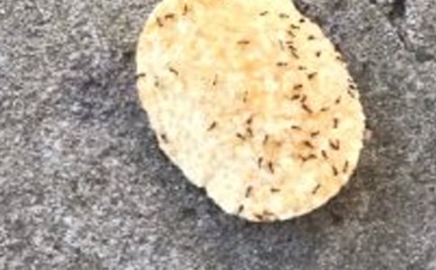 �����Ϻ����塷�ڶ���ʱ��ѧ��ƣ��Ƽ���