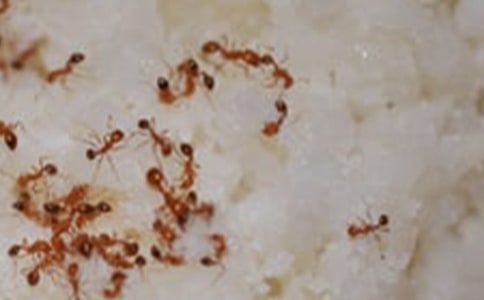 �����Ϻ����塷��ѧ��˼