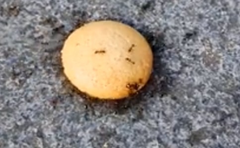 �����Ϻ����塷��ѧ��˼