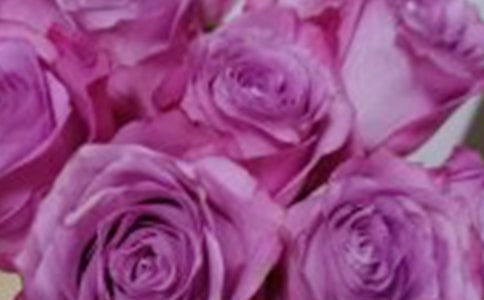 ��õ�����õ������