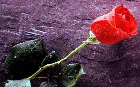 ʧ���õ������