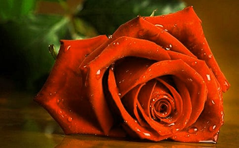 ҹݺ��õ������