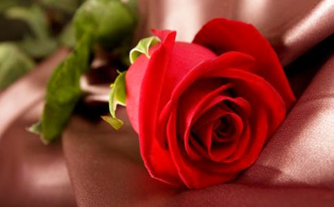 ��õ�����õ������