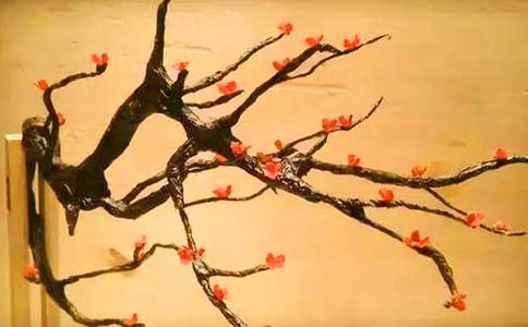 ��÷���꡷�ۺ��