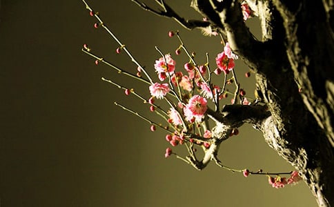 ��÷���꡷��ѧ��˼(15ƪ)