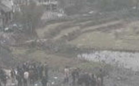 ú���ĵ����