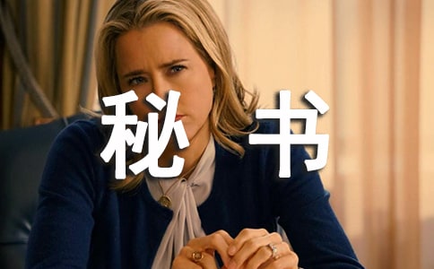 秘书处个人工作总结