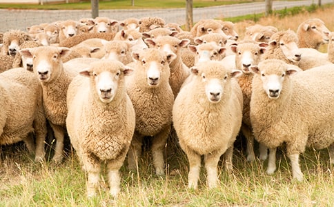 ���������С���򡷶����