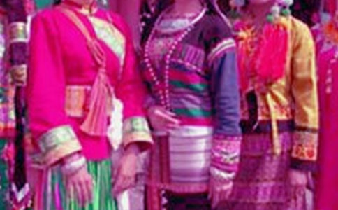 ���ǵ�����Сѧ��ѧ��˼(15ƪ)