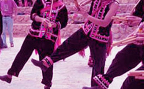 �����ǵ�����Сѧ����ѧ���15ƪ