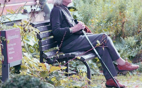 ����׷�����л��