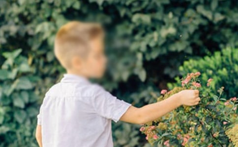 ���漣�к����Ĺۺ��