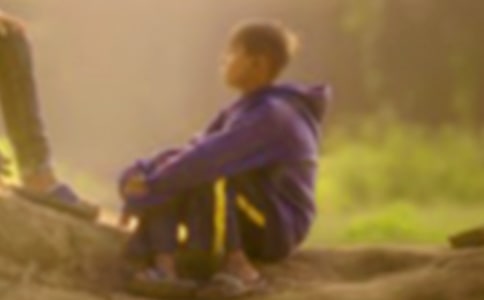 ���ָ��к��������15ƪ���š�