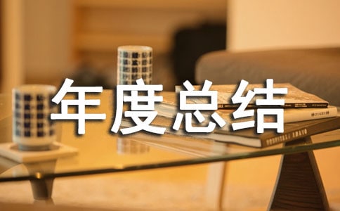 个人年度总结