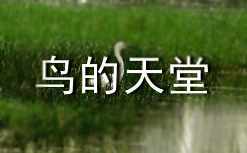 《鸟的天堂》教学设计集锦15篇