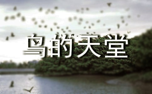 《鸟的天堂》教学反思 15篇