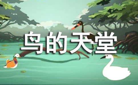 《鸟的天堂》教案锦集(15篇)