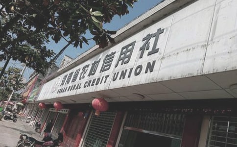 农村信用社员工个人工作总结