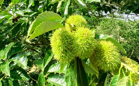 ũ���ֲ߻���15ƪ