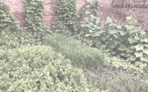 ũ��������������ͬ��������