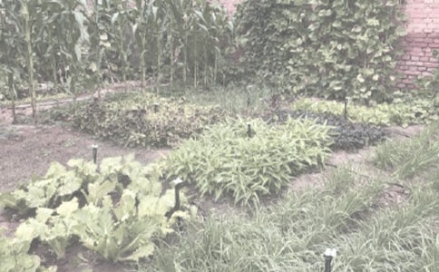 ũ��������������ͬ����15ƪ