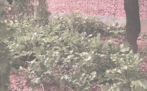 ũ��������������ͬ�ϼ�15ƪ