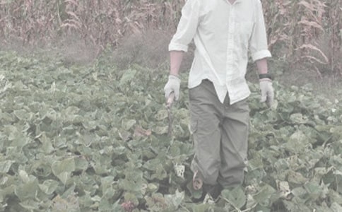 ũ�������ӹ����ͬ����