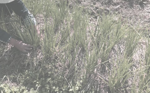 ũ�������ӹ����ͬ(5ƪ)