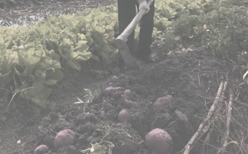 ������ũ��������������ͬ[��ѡ]