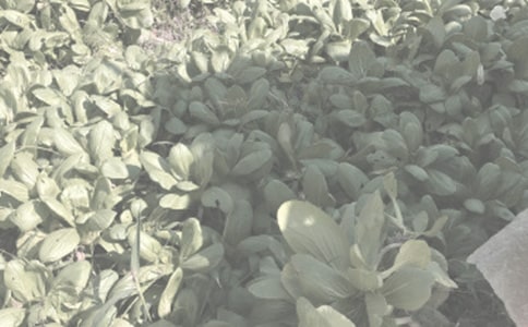 ũ��������������ͬ