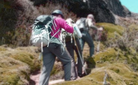 ����ɽ���Ľš���ѧ��˼15ƪ��ʵ�á�