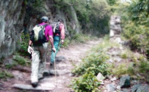 ����ɽ���Ľš��̰�(15ƪ)