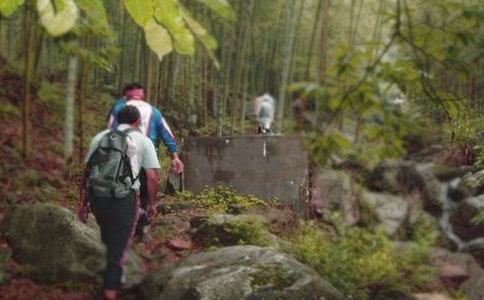 人教版《爬山虎的脚》教学设计