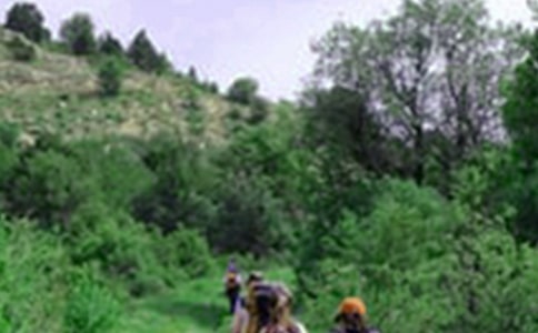 ������ɽ��߻���