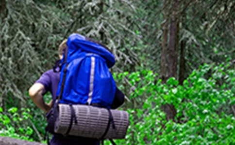 《爬山虎的脚》教学设计(精选15篇)